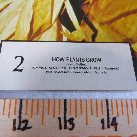 Vintage 80s Corn & Sailboat, Educational Poster thick cardboard farm - Picture 4 of 6